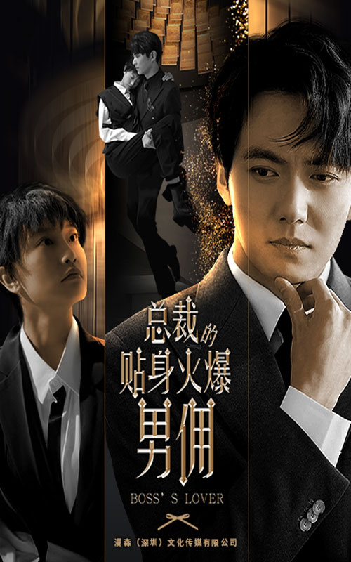 总裁的贴身火爆男佣 全集(大结局)